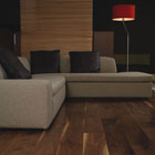 Windsor Walnut Lacquered